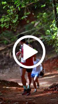 BIB:  <button type="button" onclick="openModal(27322472)" class="btn btn-primary btn-sm float-right" data-toggle="modal" data-target=".modal-high-quality">
                <i class="fa fa-download"></i> Download
                </button>